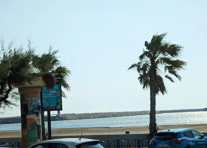 Apartmán T2 Climatise En Front De Avec Parking - Fr-1-797-13